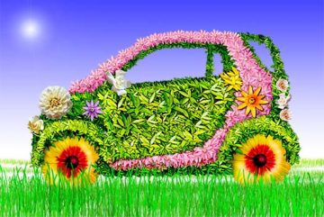 Hybrid Cars