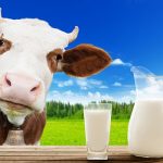 Βιολογικό Κρέας – Αυτό το κρέας δεν είναι τρελό!