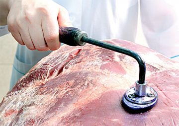 ΒΙΟΛΟΓΙΚΟ ΚΡΕΑΣ