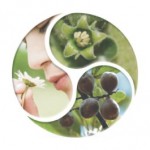 Υγεία του δέρματος με τη γνώση της Αγιουρβέδα