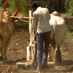 Εντυπώσεις από την Ινδία