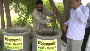 Βιοδυναμική Καλλιέργεια