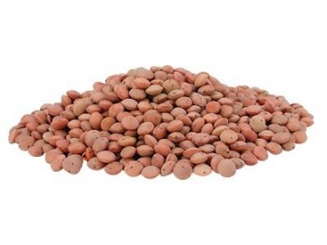 Κόκκινες φακές