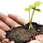 Θεραπευτική κηπουρική