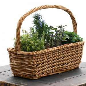 άγρια χόρτα