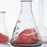 Πετάει ο γάιδαρος;