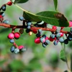 Για μια πιο υγιεινή κούπα καφέ