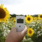 Τα ηλιοτρόπια της ελπίδας