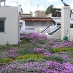 Χώροι πρασίνου σε πολυκατοικίες χωρίς άδεια