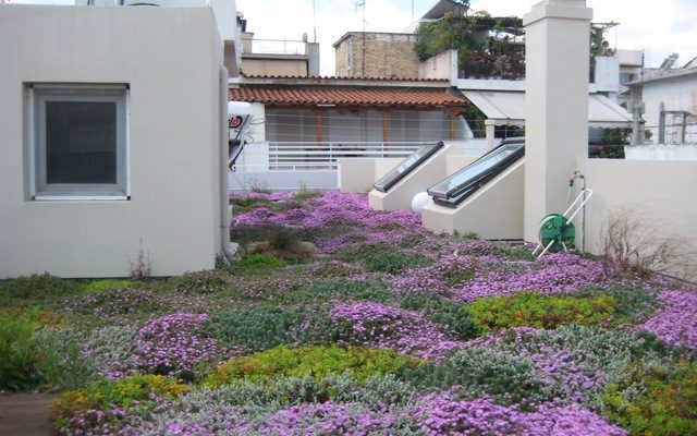 Μητρώο Φυτεμένων Επιφανειών