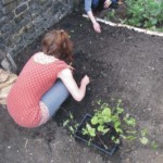 Αστική καλλιέργεια με οικολογικούς τρόπους