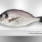 «Πες μου τι ψάρι τρως»: νέα έρευνα της Greenpeace