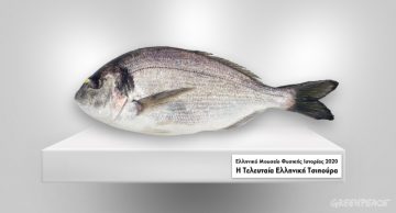 τι ψάρι τρως