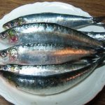 Και ο κολιός ποτέ (!) τον Αύγουστο