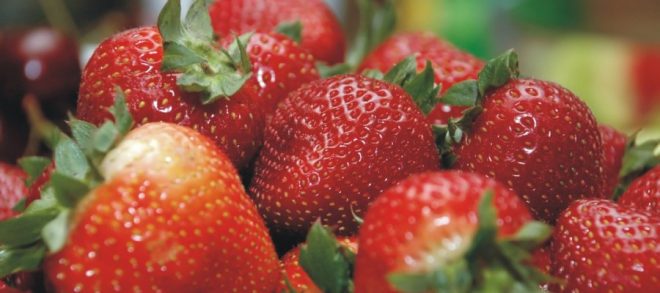 Φράουλες