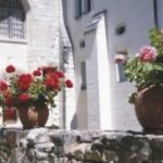 Δημιουργήθηκε στείρο γεράνι χωρίς γύρη