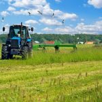 Η βιολογική γεωργία δεσμεύει περισσότερο διοξείδιο του άνθρακα στο έδαφος