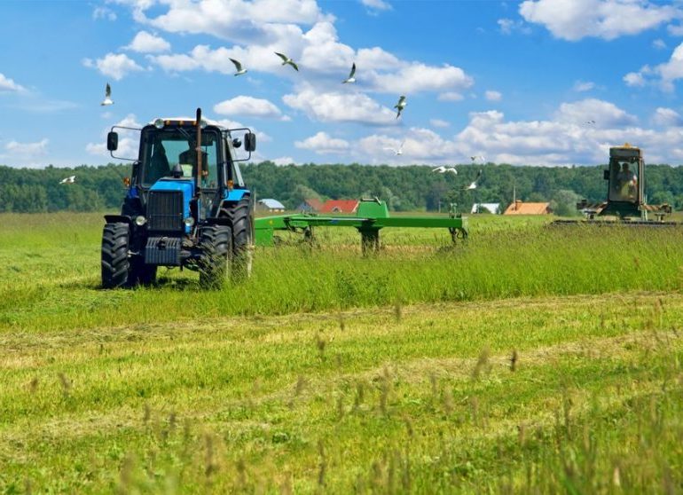 διοξείδιο του άνθρακα