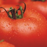 Ντομάτα η αντικαταθλιπτική