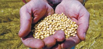 1125-seeds[1]
