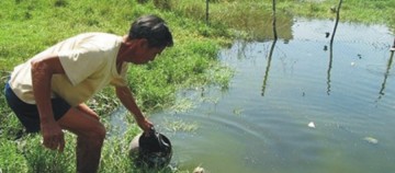 Κίνα καρκίνος