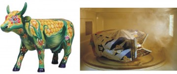 βιολογικα προιοντα