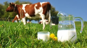 βιολογικο γαλα