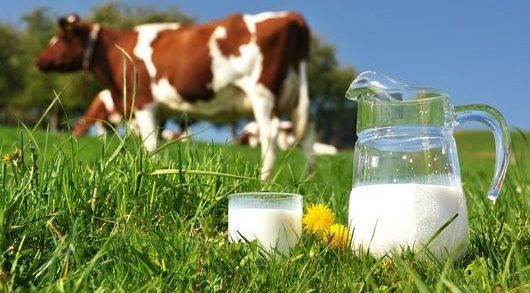 βιολογικο γαλα