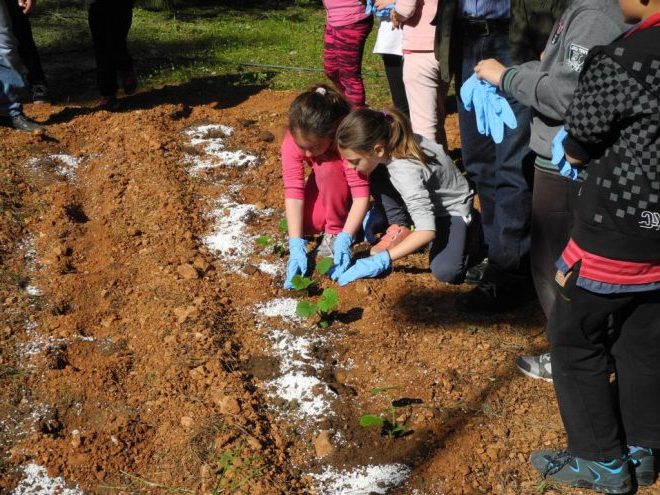 ΠΑΙΔΕΙΑΤΡΟΦΗ