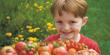 αντιοξειδωτικά