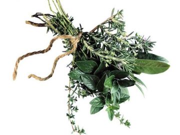 Ιατροσοφικές συνταγές