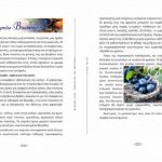 cf83cebfcf85cf80ceb5cf81-cf86cf81cebfcf85cf84ceb1-cf83ceb5cebb-224225[1]