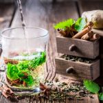 Υγεία και ομορφιά με βότανα