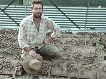 Δημου Σαλιγκαρια