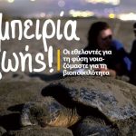 Γίνε εθελοντής στον ΑΡΧΕΛΩΝ