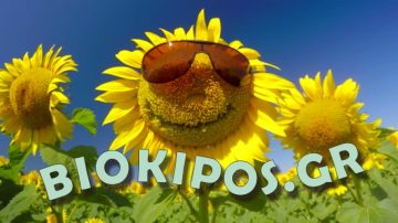 ΒΙΟΚΗΠΟΣ