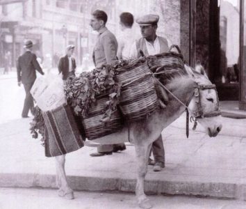 μαναβης