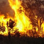 Φύσεως Νέμεσις δια πυρός…