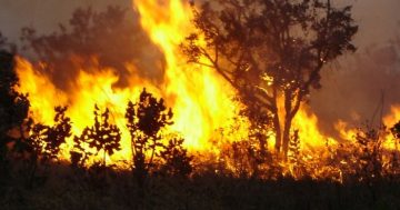 ΠΥΡΚΑΓΙΕΣ 2017