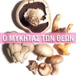 Καιρός για… μανιτάρια