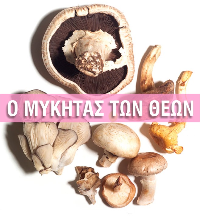 μανιτάρια