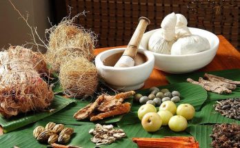 Βοτανολογία