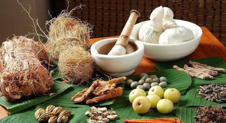 Βοτανολογία